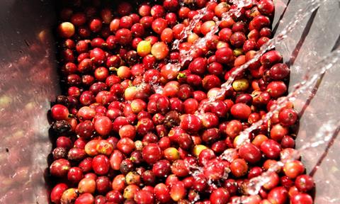 食品飲料加工廢水