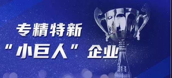 2021年度省專精特新小巨人企業
