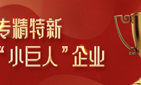 喜報！蘇州立升榮獲2021年度江蘇省專精特新小巨人企業(yè)認(rèn)證